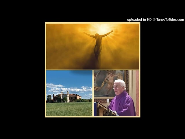 2 novembre 2025 - Commemorazione di tutti i fedeli defunti - Omelia di don Elio Mo