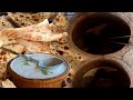 Bolani Tandoori Top Rated Afghan Street Food Bolani Made Fresh On The Streets Bolani Tandoori Top Rated Afghan Street Food Bolani Made Fresh On The Streets