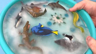 Frozen Ocean Toys Sensory Tray and Diorama Sea Animals