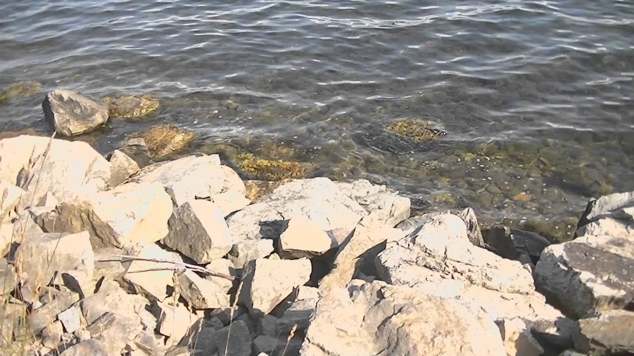 Bras d'or Lake Biosphere Reserve Introduction Part 1 YouTube