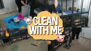 Cleaning My Entire Pet Room (Timelapse)