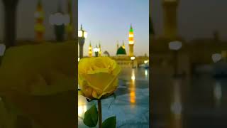 💚Jumma mubarak💚#madina#muhammad#Islamic#Islamicshorts#Islam#shorts#naatsharif#beautiful#viralshorts#
