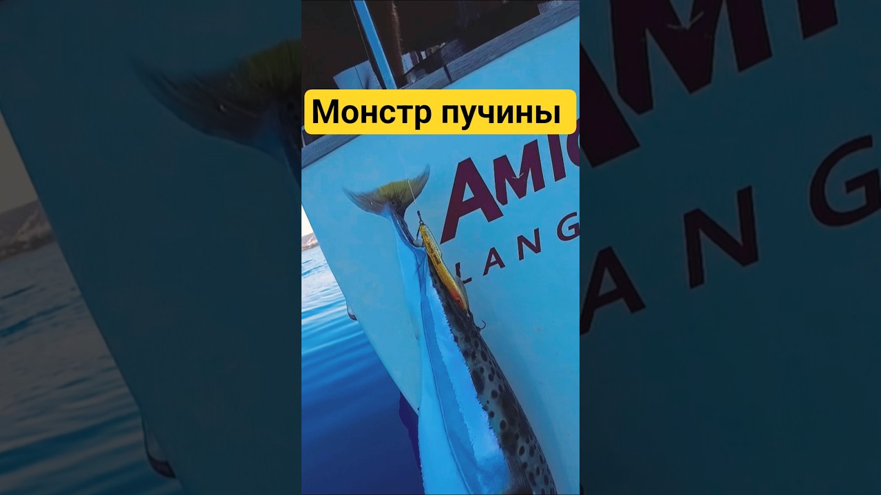 ⁣Яд в Средиземном море😱  #shorts #fuga
