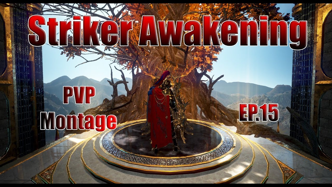 BDO Striker Awakening pvp #15