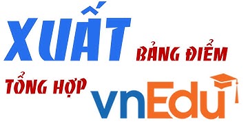 XUẤT BẢNG ĐIỂM TỔNG HỢP - SỔ ĐIỂM LỚN  TRONG VNEDU