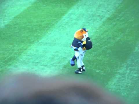 2012.6.23トラッキーからエサもらうハムちゃん（キュート♪）