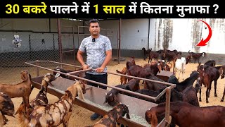 30 बकरे पालने में कितने खर्चे में कितना मुनाफा ? Goat farming in India | Harish Yadav