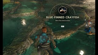 Jedi Survivor (jedi master): Skoova Stev - blue finned crayfish Profile