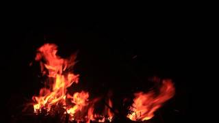 Fire (Free Stock Footage) HD