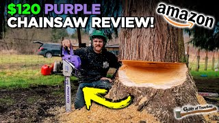 Is this $120 Chainsaw Better than Stihl?