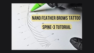 Nano Feather Brows Tattoo Tutorial Spine-3 | PMU Training