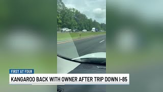 Kangaroo back with owner after trip down I-85