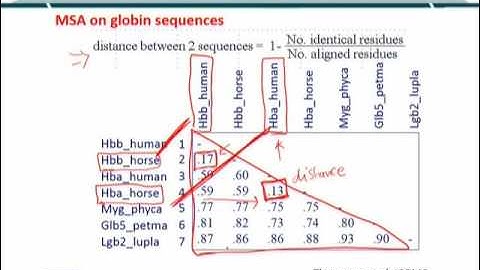 Topic 58 (BIF401 - Bioinformatics I)