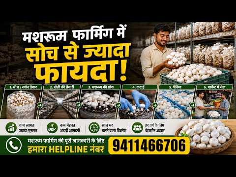 Mushroom Farming Kaise Kare? 🍄 | Beginners से Expert तक | Full Setup + Profit