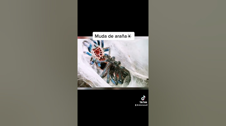 Videos que tienes que ver antes de morir #shorts