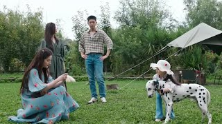 李现x刘亦菲|雲苗村工作日!許紅豆險崴腳,謝之遙護花曖昧升溫💓去有风的地方Meet Yourself#cdrama #甜寵 #治愈#lixian #刘亦菲#movie