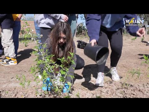 Cathey Middle School Plants a Tiny Forest | McAllen ISD