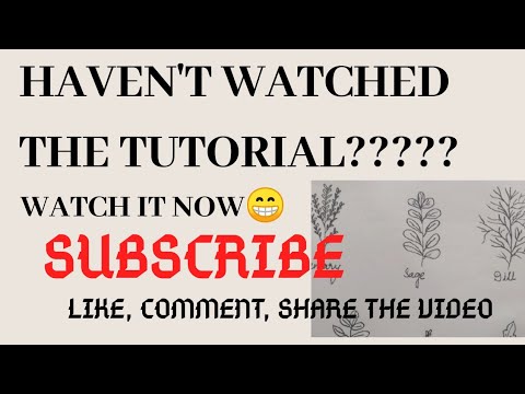 How to draw plants tutorial | Beginner's guide - YouTube