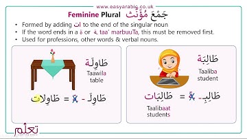 Beginners Arabic - Lesson 14 - Arabic Plurals