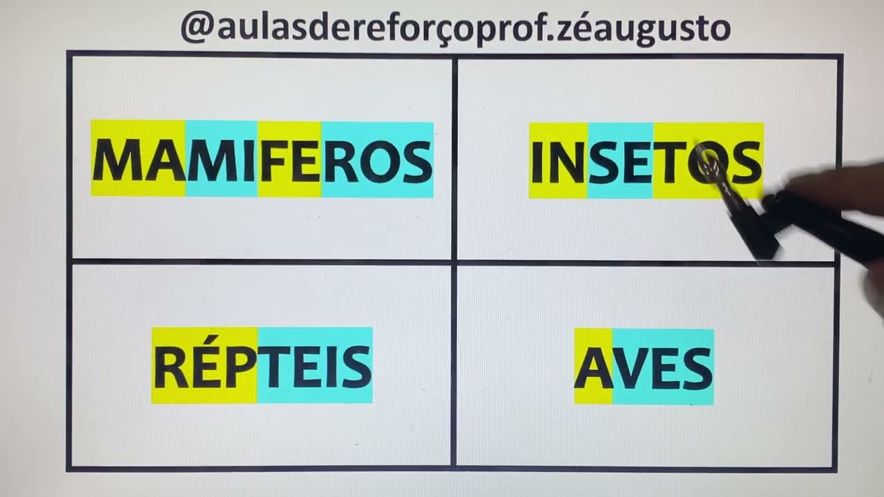 LEIA AGORA AS PALAVRAS: MAMÍFEROS, INSETOS, RÉPTEIS & AVES.