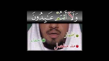 سورة الكافرون .. البراءة من الشرك #اكسبلور #تعليم #العظماء