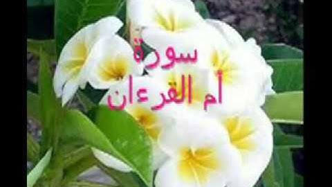 ٣- باب سورة أم القرءان شرح الشاطبية