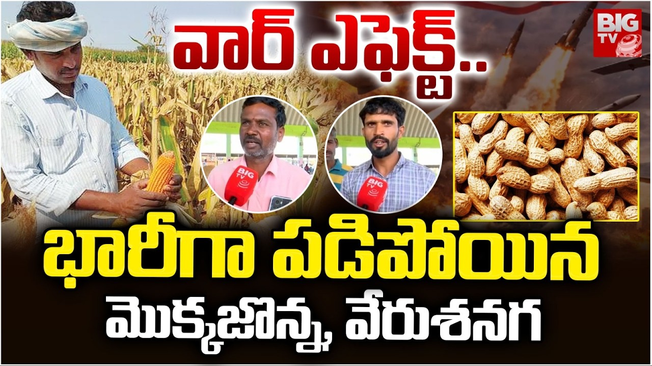 భారీగా పడిపోయిన మొక్కజొన్న , వేరుశనగ | War Effect | Mahabubnagar Farmers | BIG TV