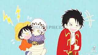 (one piece)LAW+LUFFY=LAWLU)