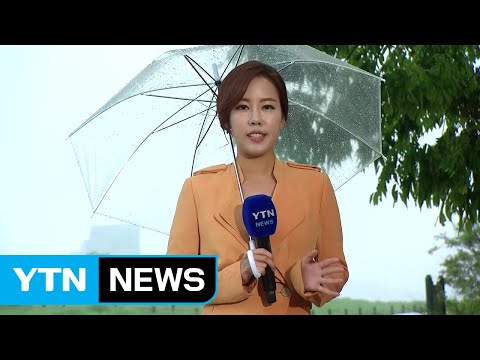 [날씨] 밤사이 전국 비...벼락·돌풍 주의 / YTN (Yes! Top News)