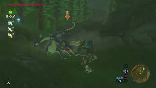 Just Bread Butter Blue Lizalfos Encounters Master Mode