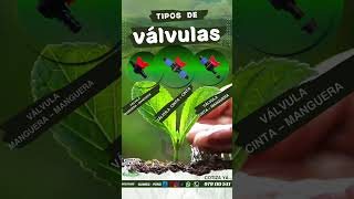 🌱 Mini válvulas para un riego eficiente.