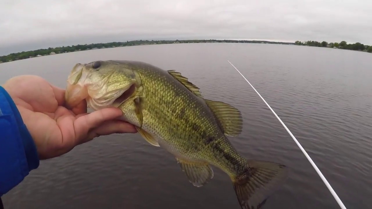 Bass and Pike Fishing on Lake Cadillac/ Lake Mitchell YouTube