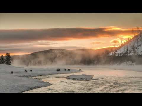 Yellowstone Winter - no country for old