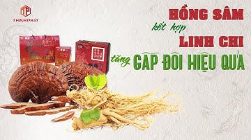 Hồng Sâm Kết Hợp Nấm Linh Chi Tăng Gấp Đôi Hiệu Quả | Nhansamthinhphat.com