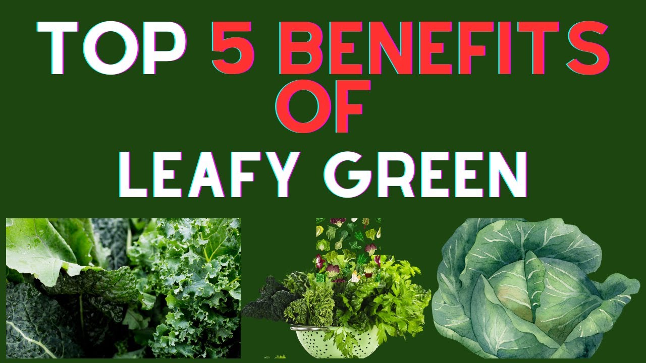 5 BENEFITS OF EATING LEAFY GREEN EVERY DAY THAT YOU NEVER KNEW ABOUT