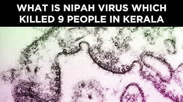 What is Nipah virus which killed 9 people in Kerala?