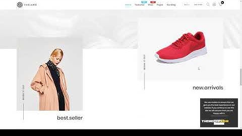 Eveland  Modern AJAX enabled WooCommerce theme RTL Supported modern rtl Easy Create Website
