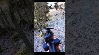 good deer hunting in tha gangle with amazing shot at sangil#moos#archery#chasse#caccia