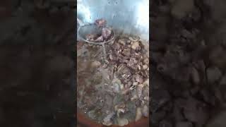 Koson po'lati qizilchasi