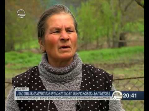 კახეთის მაღალმთიან დასახლებებში შეღავათებით ვერ სარგებლობენ