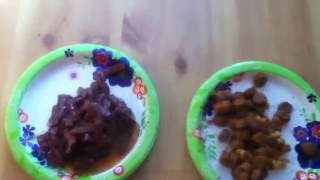 Ol' Roy Vs Kibbles 'nBits Dog Food Taste Test