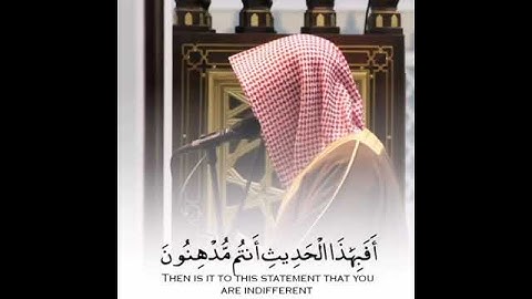 القارئ ناصر القطامي /قرآن كريم/ مقاطع قصيرة/ تلاوة عطرة خاشعة/ حالات واتساب دينية