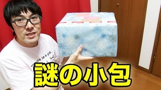 【開封】アメリカからの謎の小包が届いたよ！