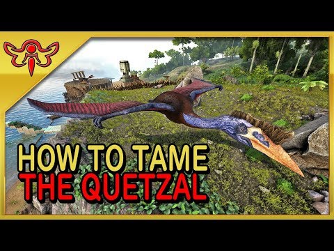 ARCA: Survival Evolved Tutorial - Como Solo Tame o Quetzal