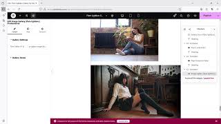 Flare Lightbox Elementor Gallery Pro Tutorial