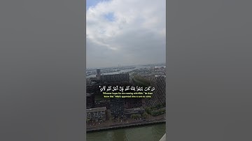 تلاوة خاشعة لآيات من كتاب الله #القرآن_الكريم #القرآن #الله #اكسبلور #المصحف #foryou #راحة_نفسية #fy