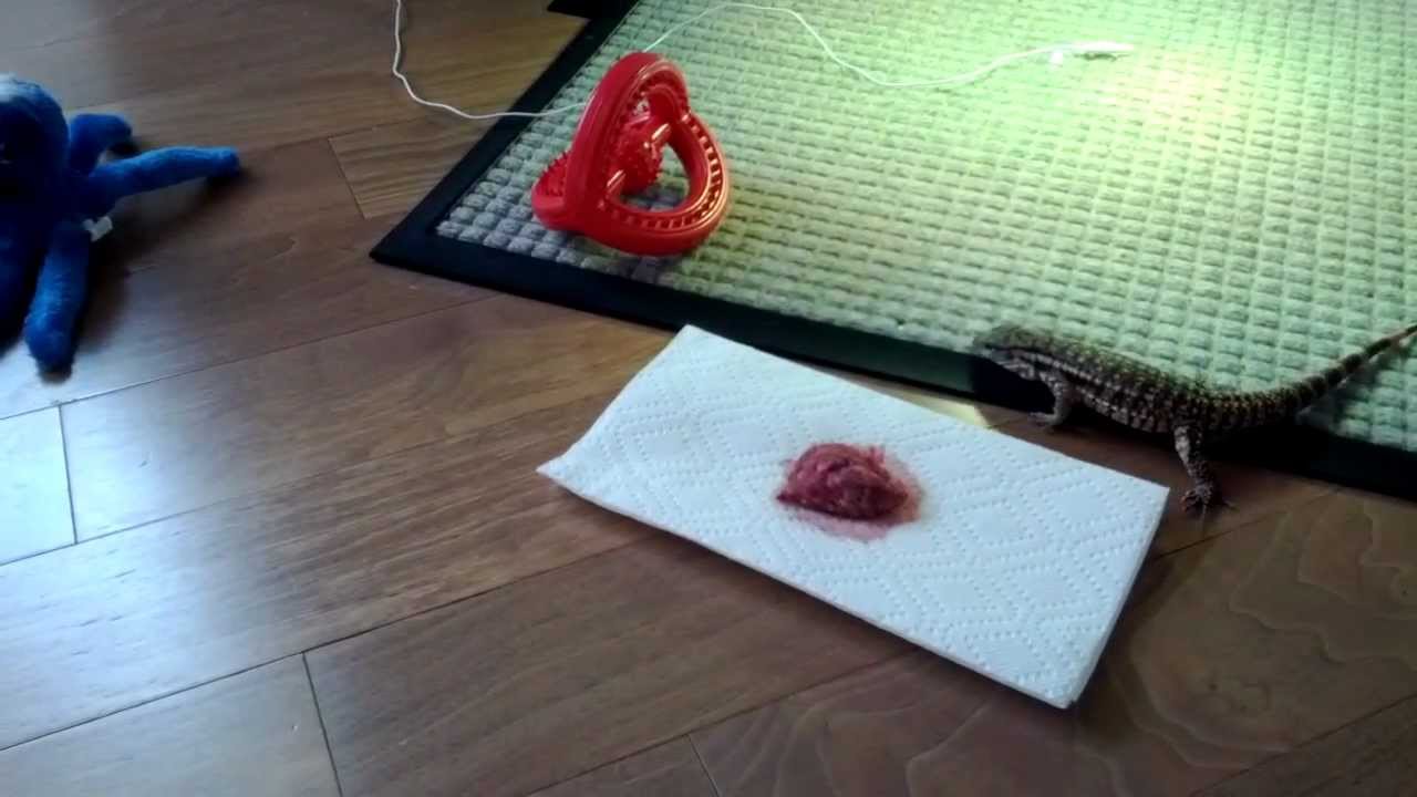 lizard skin grips MacGyver VS ground rabbit