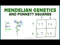 Genetica en Bloemkleuren