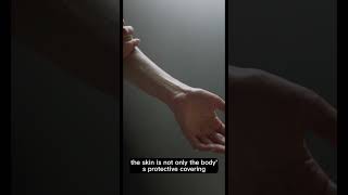 Celebrity Largest Organ in the Human Body Is the Skin Wealth