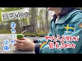 やたらと虹が出る日々/スウェーデン北部在住の在住23年目突入